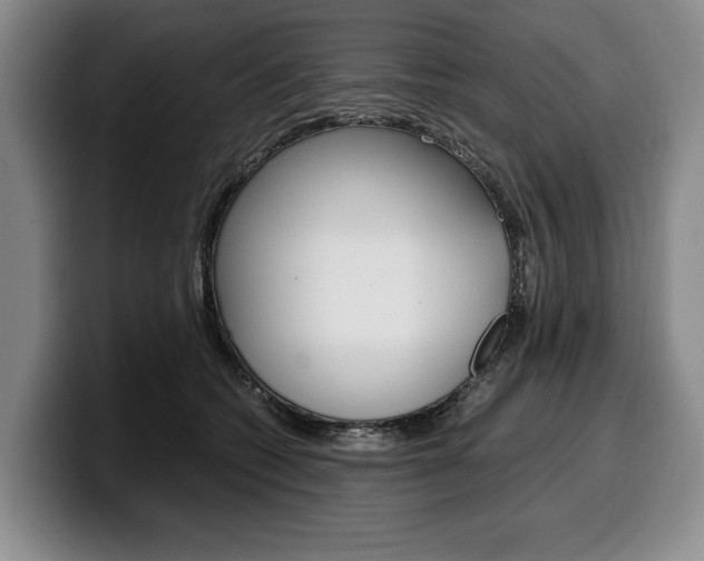 X0000100340562200806051227