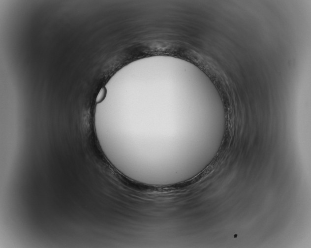 X0000100340563200806051227