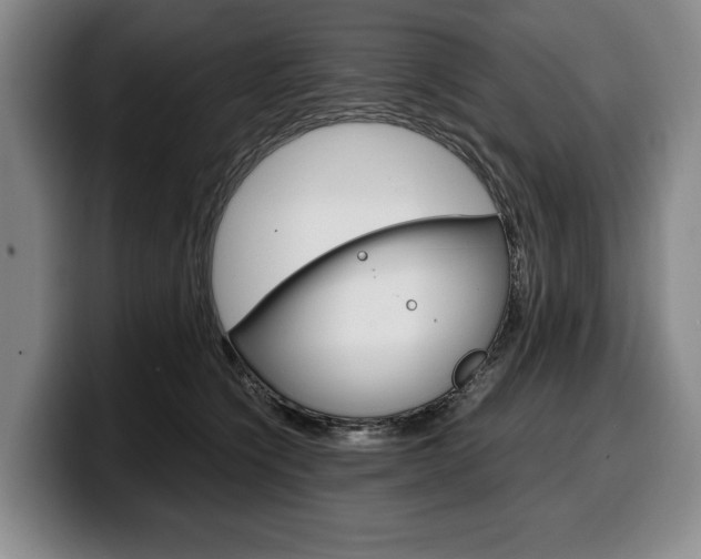 X0000100340564200806051227