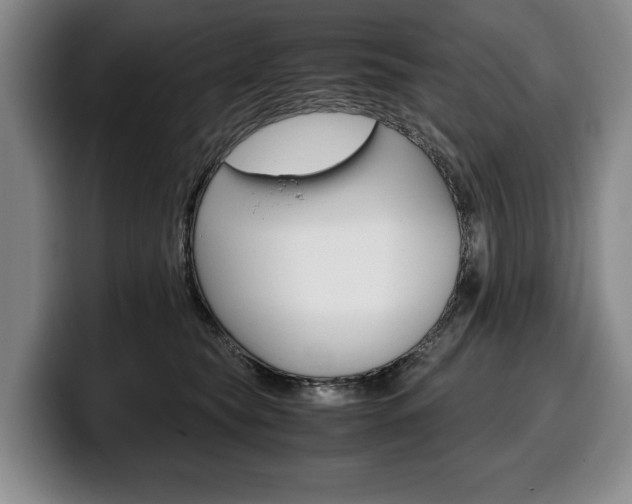 X0000100340565200806051227