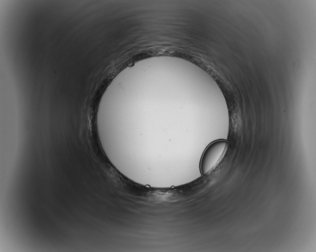 X0000100340570200806051227
