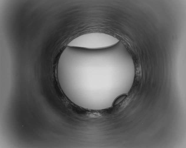 X0000100340572200806051227