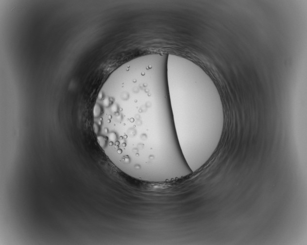 X0000100340573200806051227