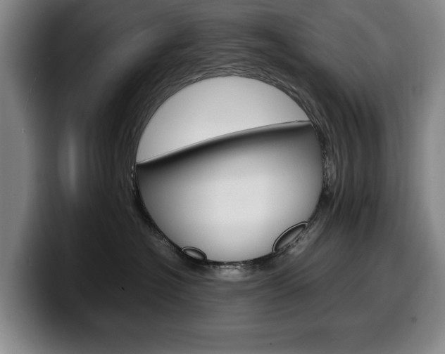 X0000100340574200806051227