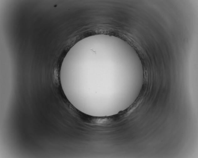 X0000100340575200806051227
