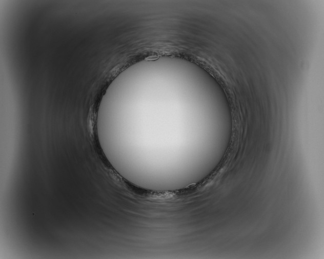 X0000100340576200806051227