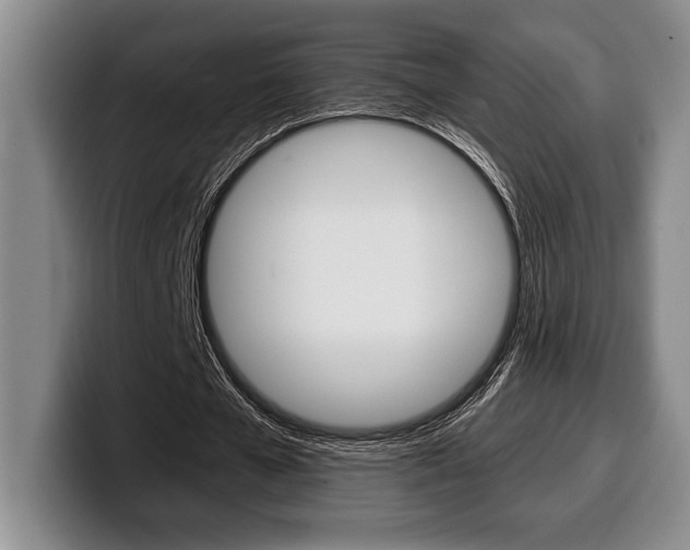 X0000100340577200806051227