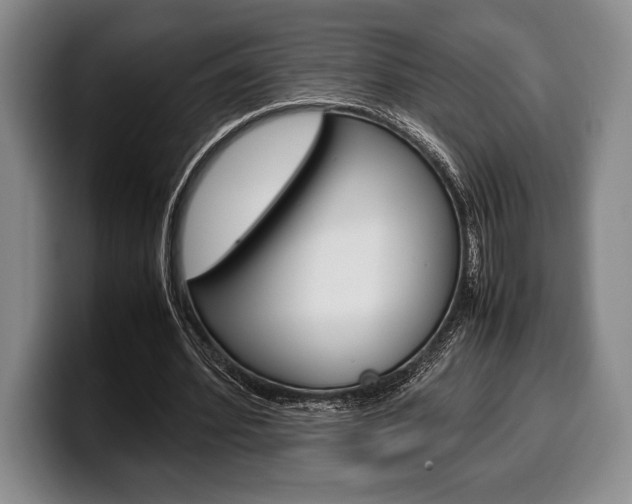X0000100340580200806051227