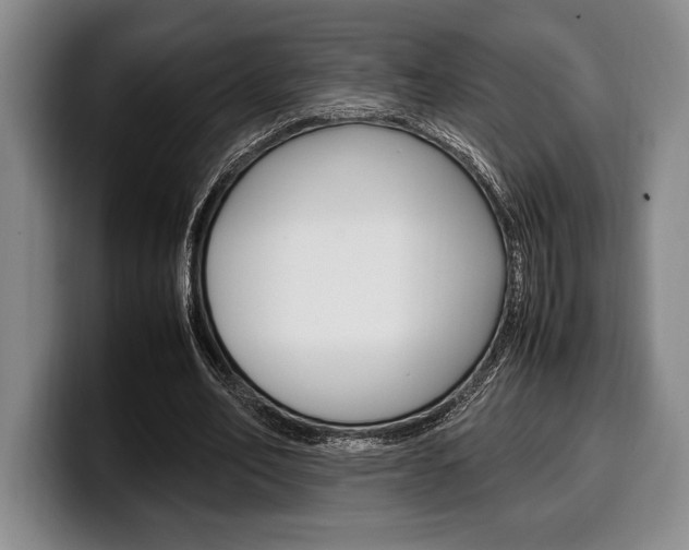 X0000100340582200806051227