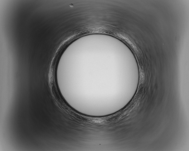 X0000100340583200806051227