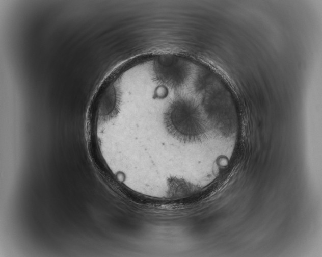 X0000100340584200806051227