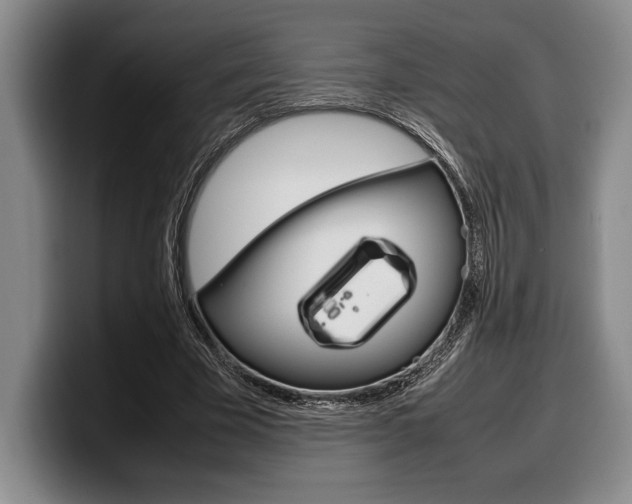 X0000100340585200806051227