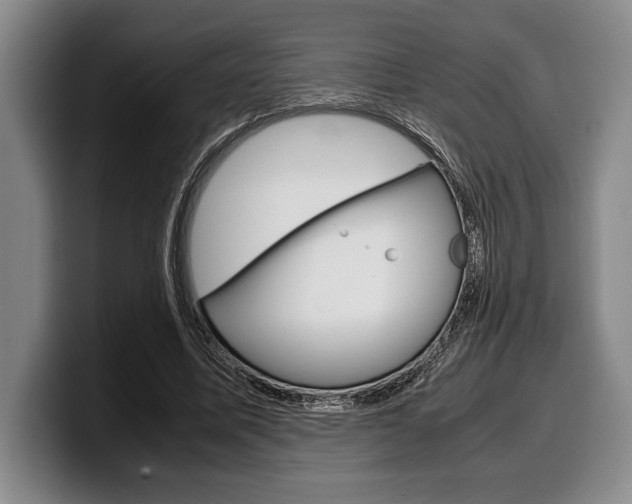 X0000100340587200806051226