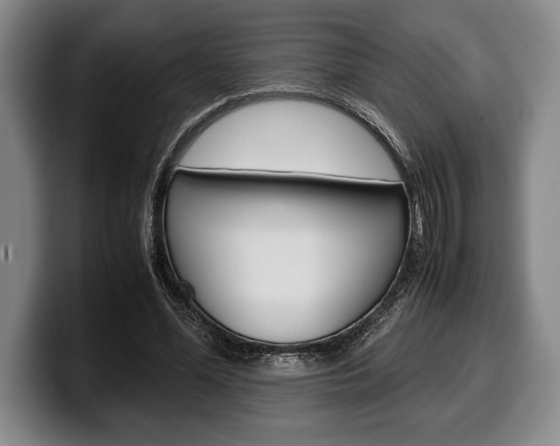 X0000100340588200806051226