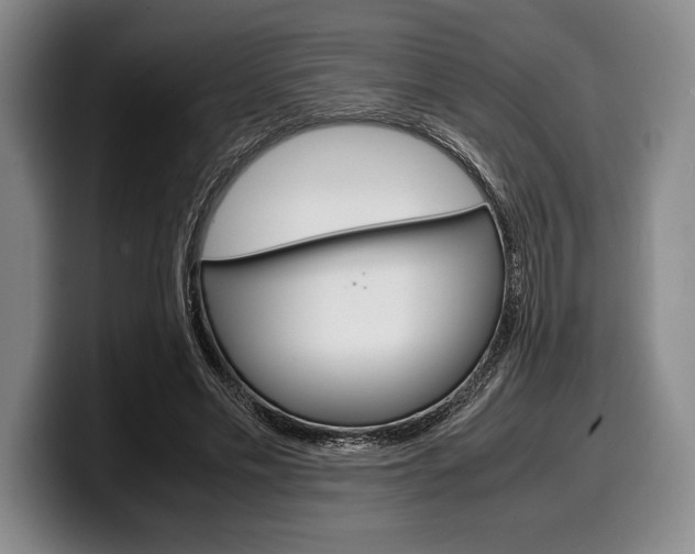 X0000100340589200806051226