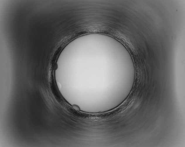 X0000100340590200806051226
