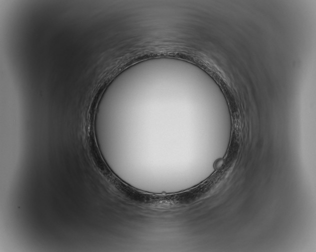 X0000100340593200806051226