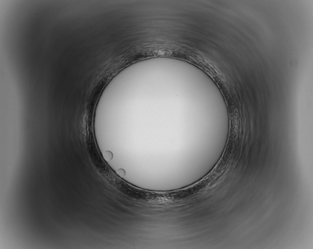 X0000100340594200806051226