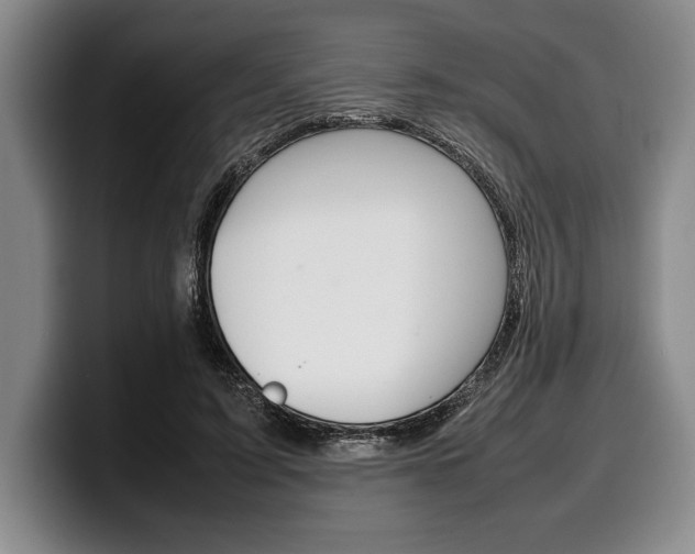 X0000100340595200806051226