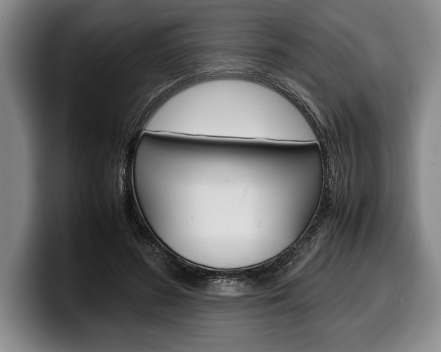 X0000100340596200806051226