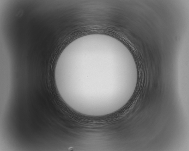 X0000100340597200806051226