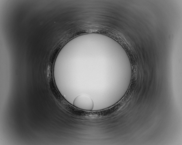 X0000100340598200806051226