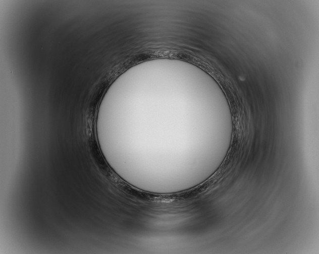 X0000100340602200806051226