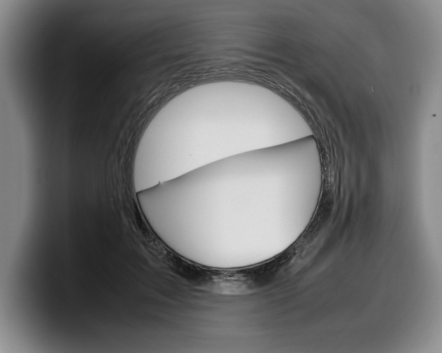 X0000100340603200806051226