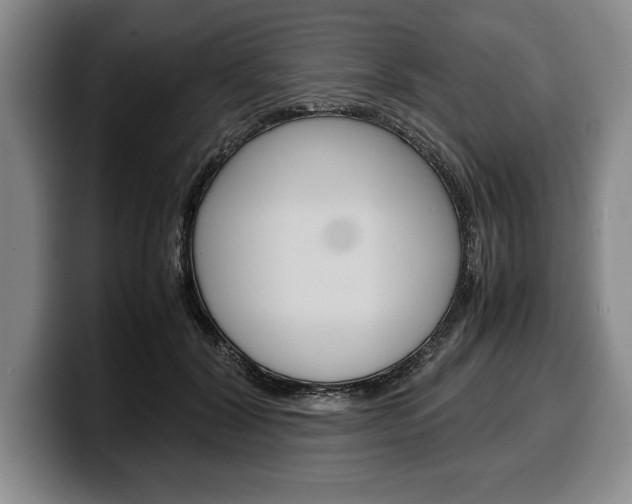 X0000100340604200806051226