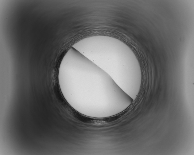 X0000100340605200806051226