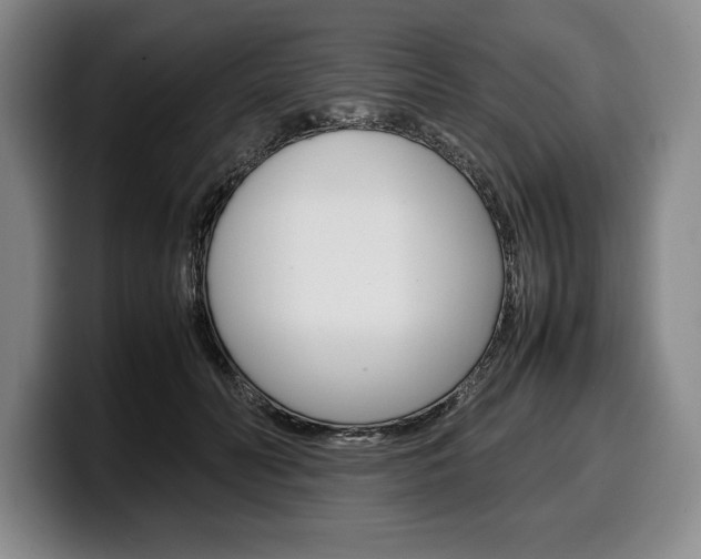 X0000100340606200806051226