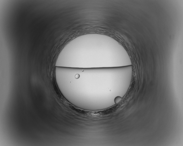 X0000100340607200806051226