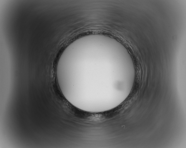 X0000100340609200806051226