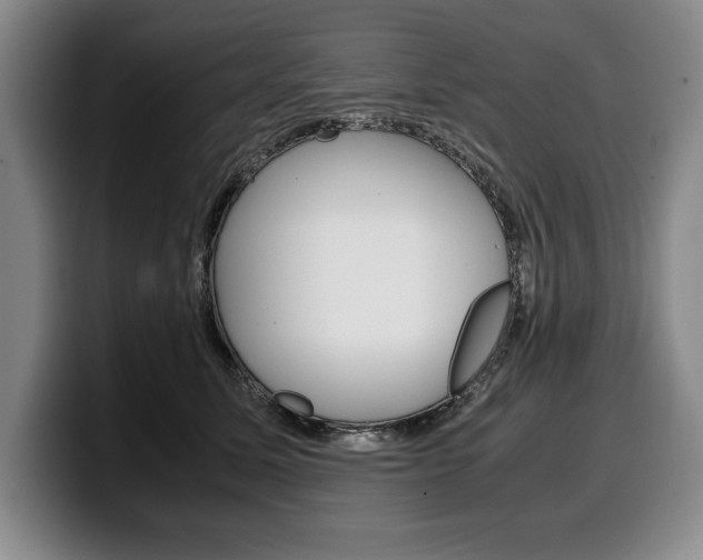 X0000100340611200806051226