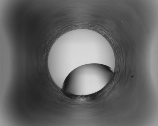 X0000100340613200806051226