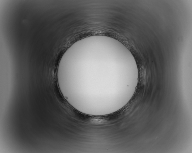 X0000100340614200806051226