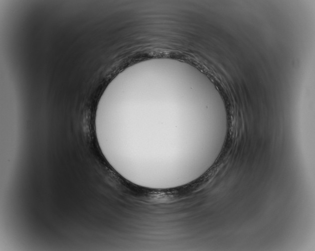 X0000100340616200806051226