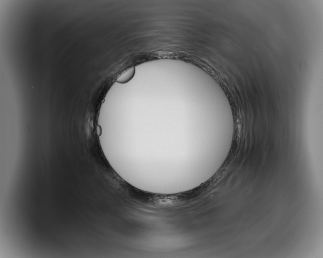X0000100340618200806051226