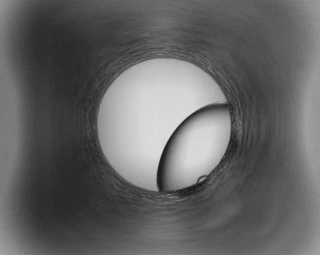 X0000100340619200806051226