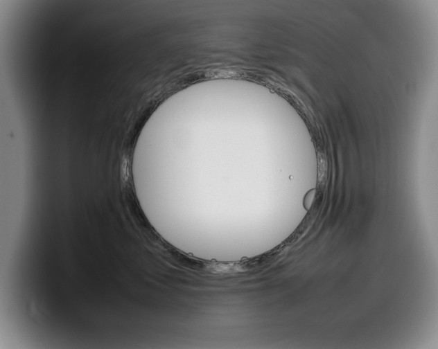 X0000100340621200806051226