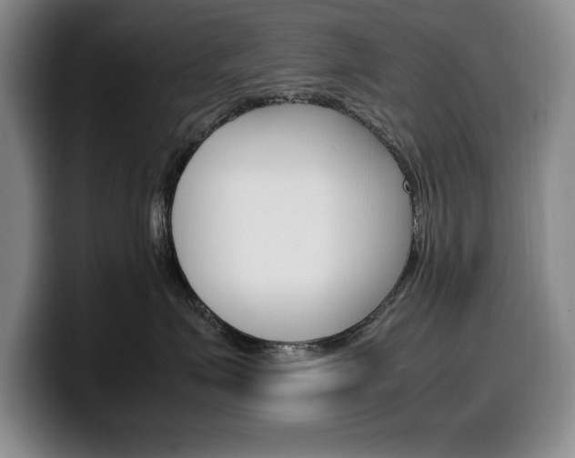 X0000100340623200806051226