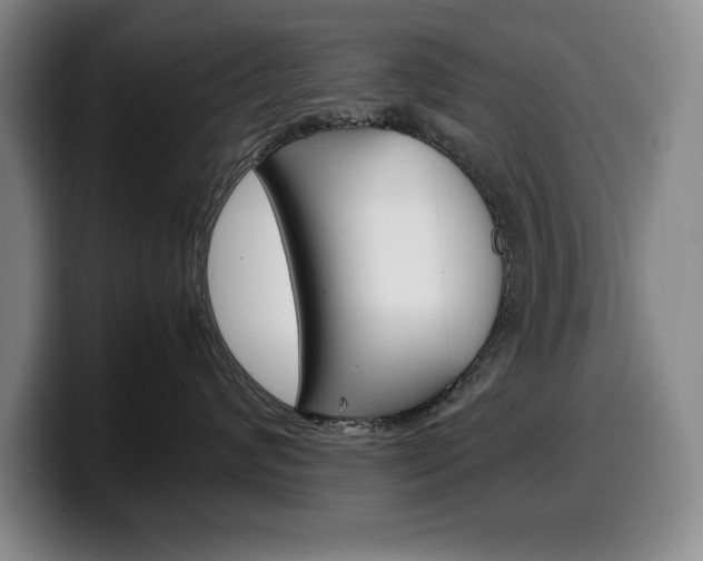 X0000100340624200806051226