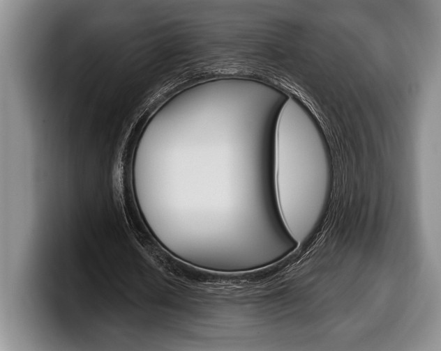 X0000100340626200806051225