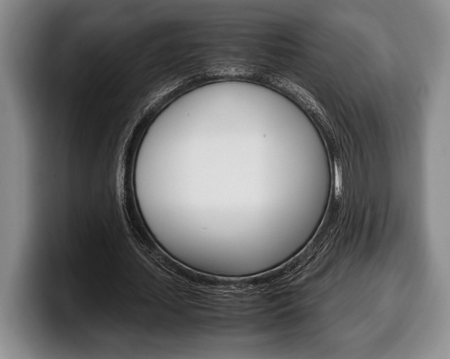X0000100340627200806051225
