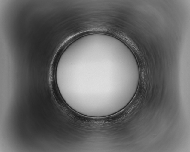 X0000100340628200806051225
