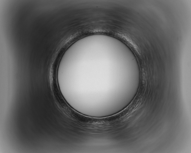 X0000100340631200806051225