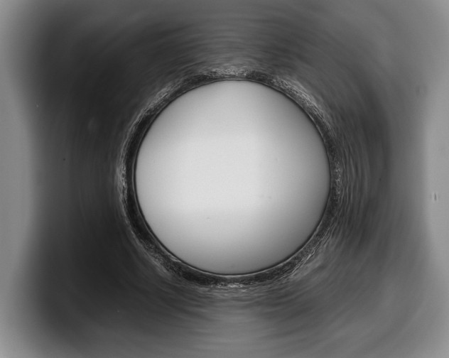 X0000100340634200806051225