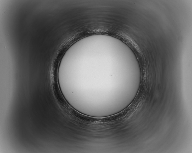 X0000100340635200806051225