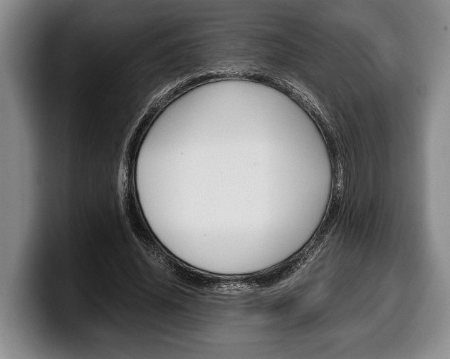 X0000100340636200806051225