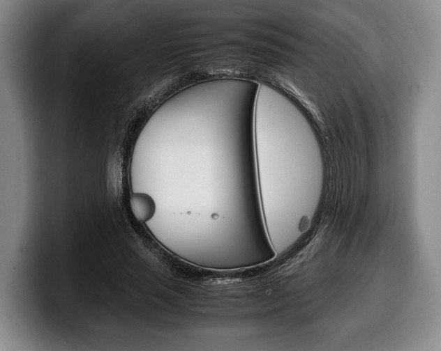 X0000100340637200806051225